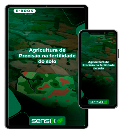 Sem-Título-1-3